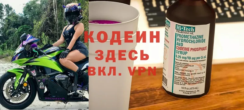 где продают наркотики  Куровское  Codein Purple Drank 